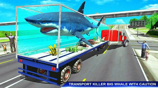 海洋动物运输车