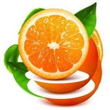 橙子视频下载app