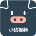 小猪视频app安卓版