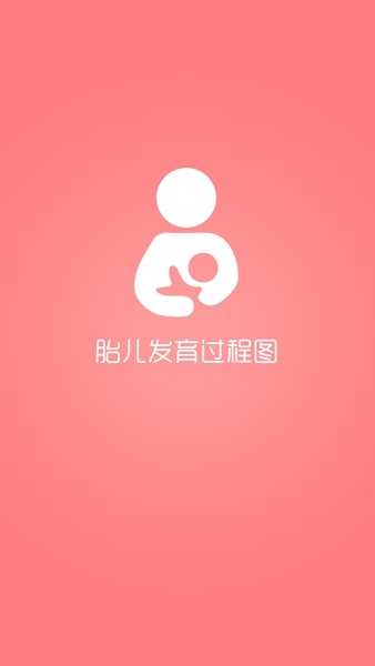 胎儿发育过程图