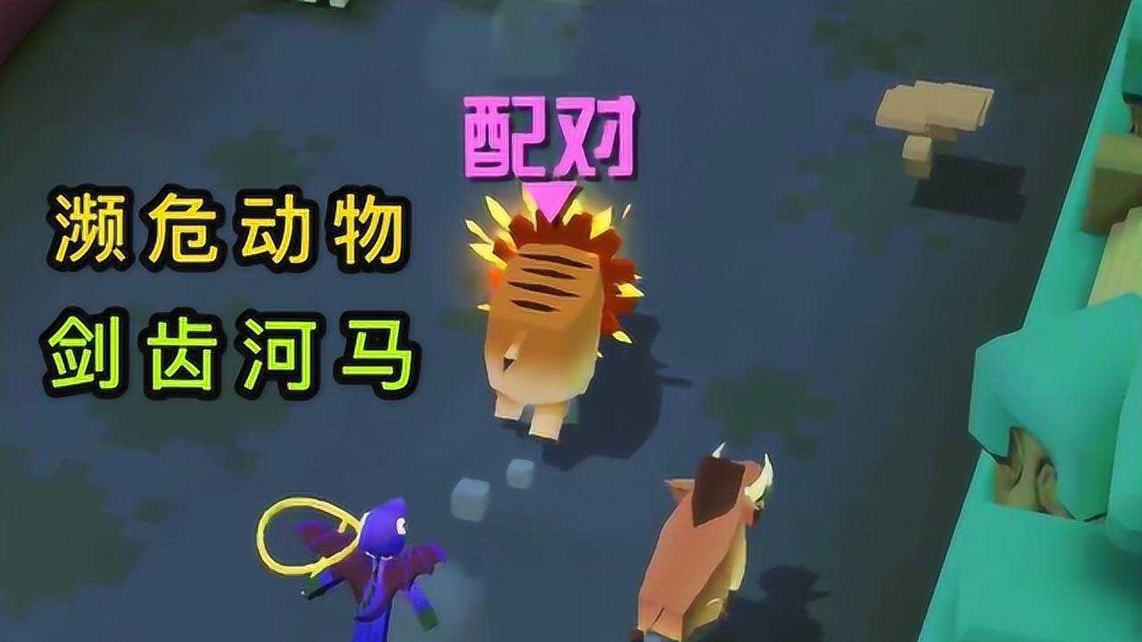 三国群英传7特殊兵符在哪 三国群英传7特殊兵符在哪