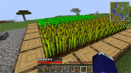 我的世界小麦种子怎么用