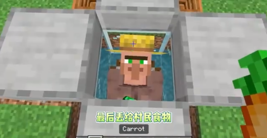 我的世界怎么能让村庄无限增长